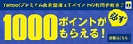 YP0311_tpoint.jpg
