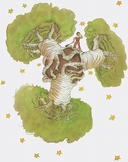 baobab1.jpg