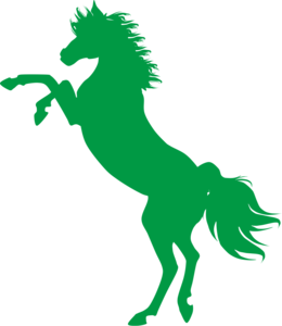 error_horse.png