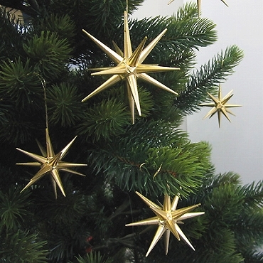 img57841610.jpg