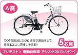 img_present_a.jpg