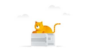 subscription_landingNewspaperCatImage_312x200_fa177f8a6cf816682458613d447a71bf.png